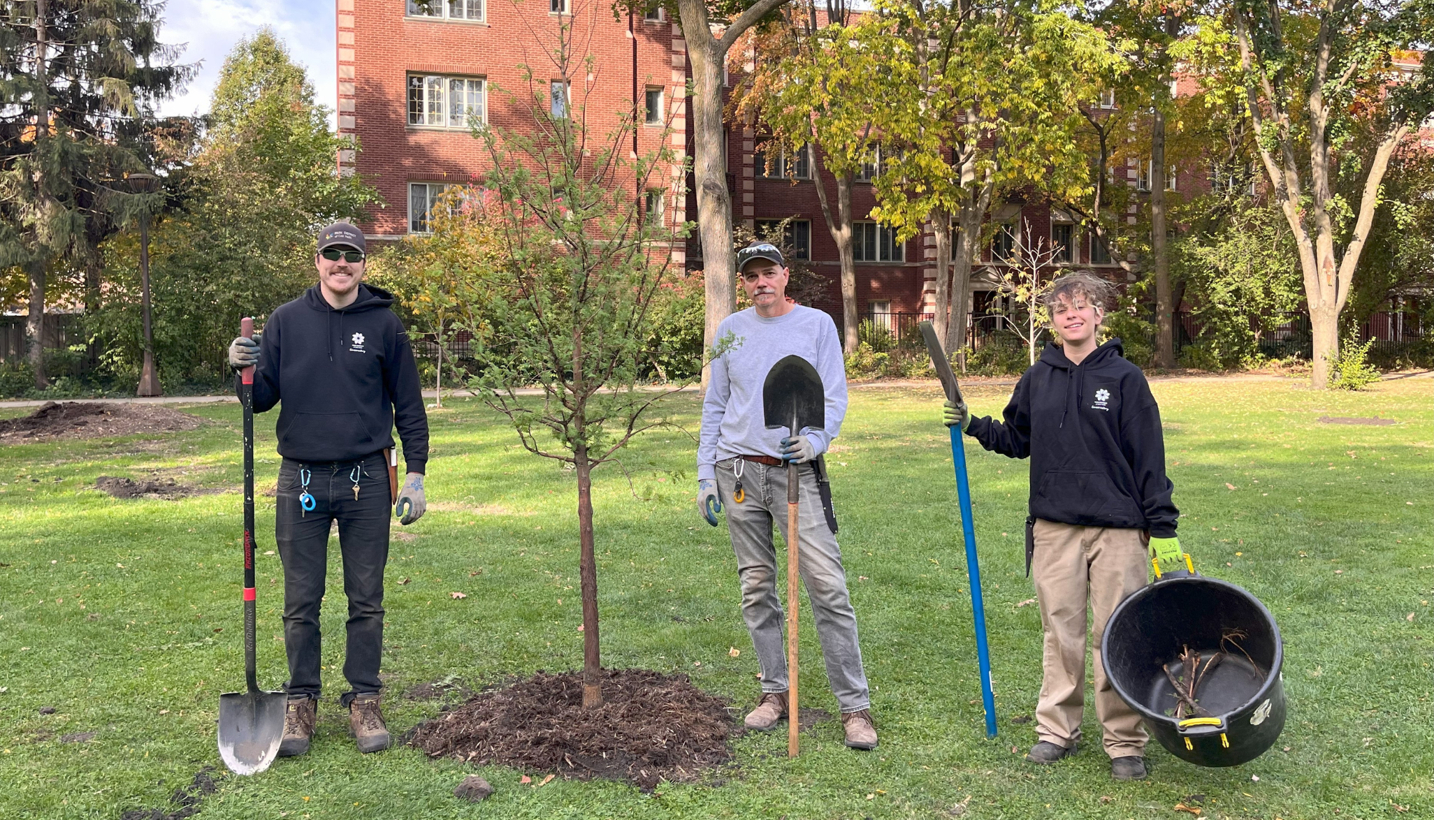 conservatory staff pose with shovels next to freshly planted tree