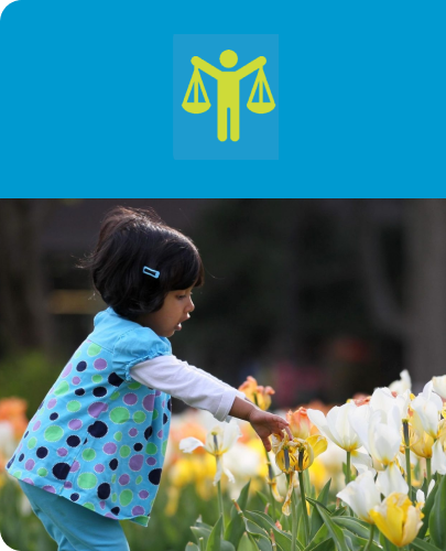 A child gently touching flowers in a garden