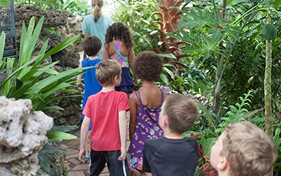 Children follow a guide through a lush, green conservatory filled with tropical plants.