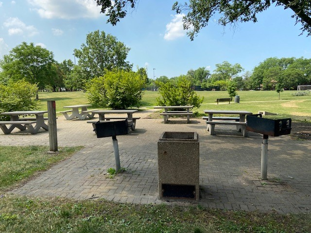 Park picnic area with charcoal grills, picnic tables, and open green space.