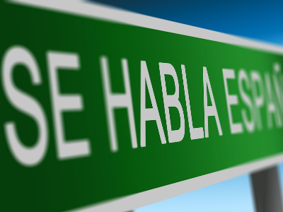 Spanish Immersion for Adults- Learn with a Native Speaker