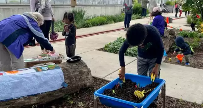 Children participate in an outdoor activity at the Oak Park Conservatory, digging in soil and interacting with an adult.